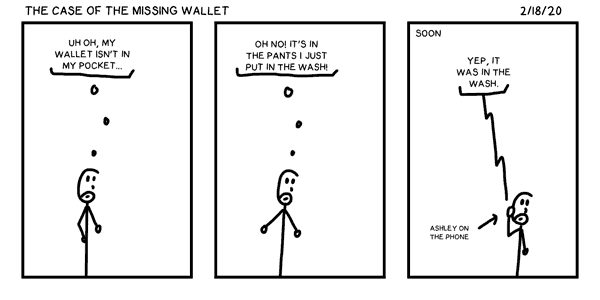 The Case of the Missing Wallet